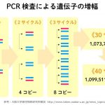 レス44番の画像サムネイル