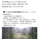 レス1番のサムネイル画像