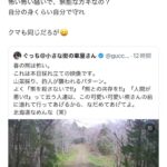 レス1番のサムネイル画像