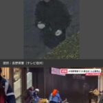 レス1番のサムネイル画像