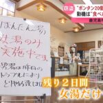 レス1番のサムネイル画像