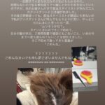 レス2番のサムネイル画像