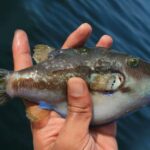 レス16番のサムネイル画像