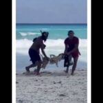 レス1番のサムネイル画像