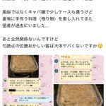 レス1番のサムネイル画像