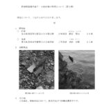 レス1番のサムネイル画像