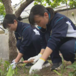 レス1番のサムネイル画像