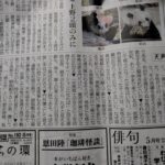 レス1番のサムネイル画像