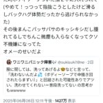 レス1番のサムネイル画像