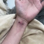 レス23番のサムネイル画像