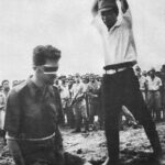 レス2番のサムネイル画像