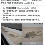 レス1番のサムネイル画像