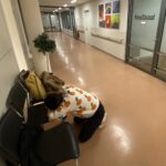 レス5番のサムネイル画像