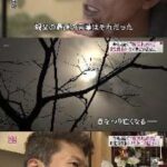 レス1番のリンク先のサムネイル画像