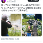 レス1番のサムネイル画像