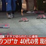 レス1番のリンク先のサムネイル画像