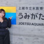 レス9番の画像2