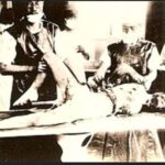 レス59番の画像1