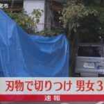 レス1番のリンク先のサムネイル画像