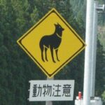 レス15番の画像1