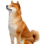 レス1番の画像7