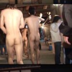 レス3番の画像1