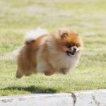 レス1番の画像11