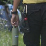 レス2番のリンク先のサムネイル画像