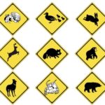 レス15番の画像2