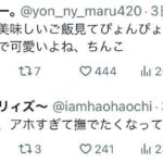 レス3番の画像1