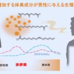 レス7番の画像1