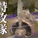 レス1番のリンク先のサムネイル画像