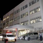 レス1番のリンク先のサムネイル画像