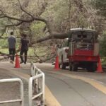 レス1番の画像8