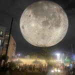 レス8番の画像1