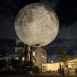 レス22番の画像1