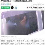 レス39番の画像3