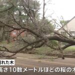 レス1番の画像4