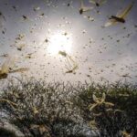 レス5番の画像1