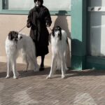 レス1番の画像3