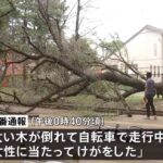 レス1番の画像3