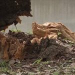 レス1番の画像6