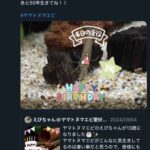 レス1番の画像1