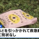 レス1番のリンク先のサムネイル画像