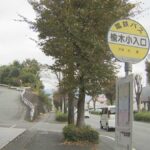 レス1番のリンク先のサムネイル画像