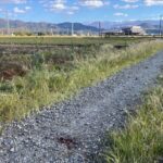 レス2番のリンク先のサムネイル画像