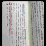 レス25番の画像1