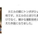 レス4番の画像1