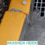 レス4番の画像1