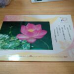 レス2番の画像2